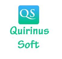 Quirinus Solutions Ltd - SEO Company London - Web Development and Design Services
